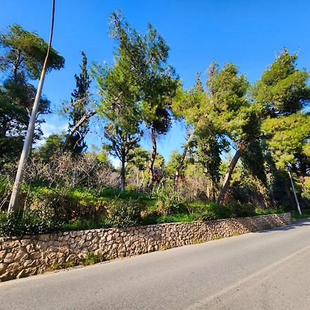אתונה Cozy Apartment For 4 In Kolonaki, Lycabettus מראה חיצוני תמונה
